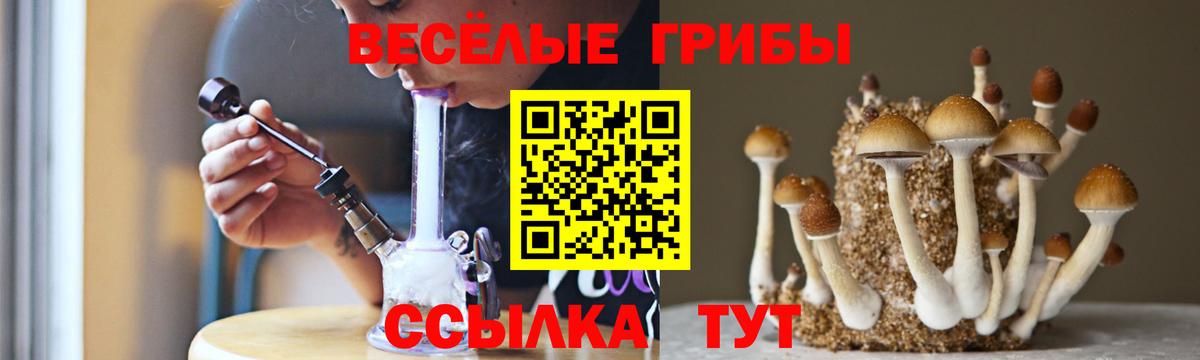 ГАШ  Бошки Шишки  Меф   ЭКСТАЗИ  Котельники  Вход с VPN 